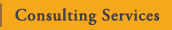 Consulting Services