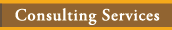 Consulting Services