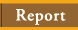 Report