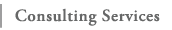Consulting Services
